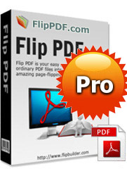 PDF in Flash Flip Book